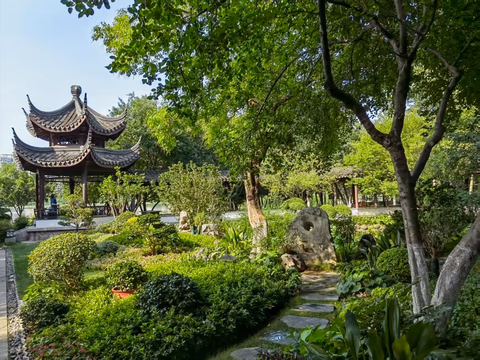 同余方程与不定方程