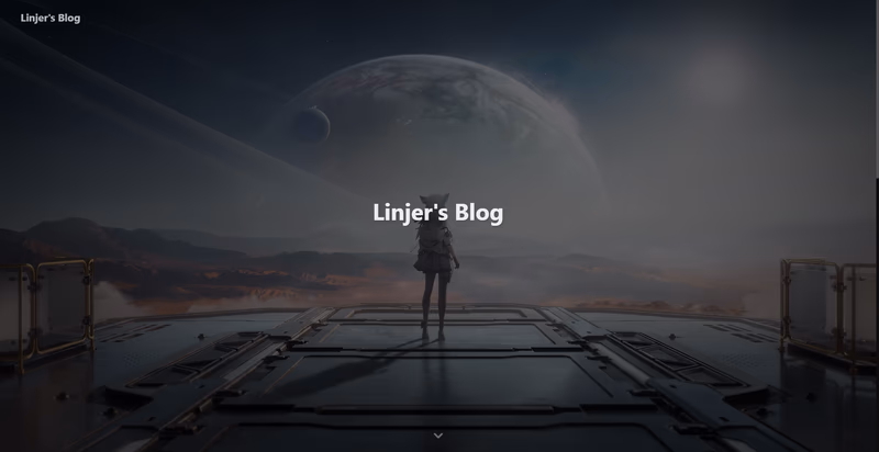 Linjer 的封面